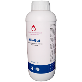 HG-Gut