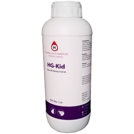 HG-Kid