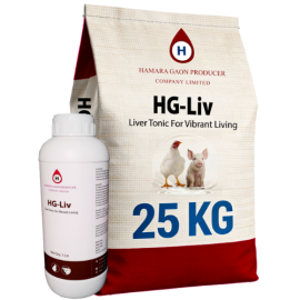 HG-Liv