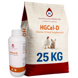 HGCal-D