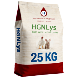 HGNLys