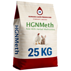 HGNMeth