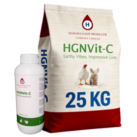 HGNVit-C