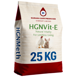 HGNVit-E