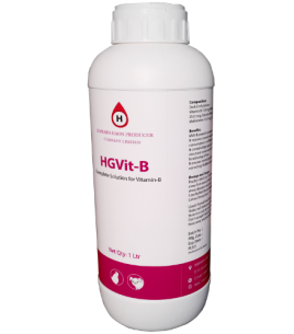 HGVit-B
