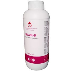HGVit-B