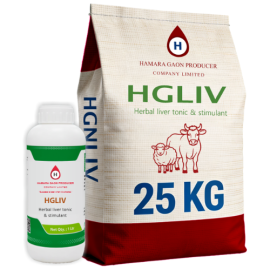 HGLIV