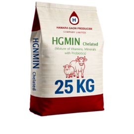 HGMIN